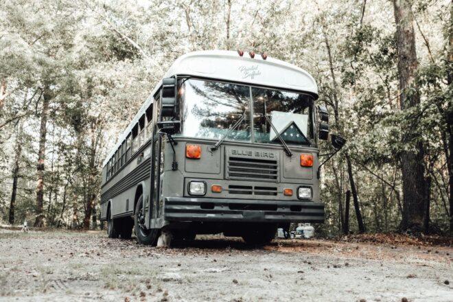 A large old school bus in the forest