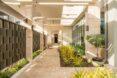 shaded walkway with greenery