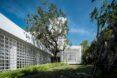 garden area with large tree in front of white home