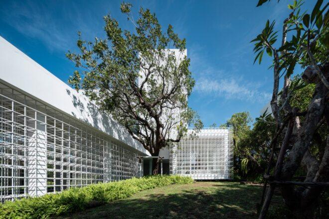 garden area with large tree in front of white home