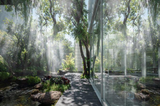 shaded space outside of home