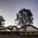 glass building with wavy roof