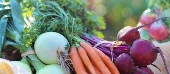 a display of fresh produce, including onions, carrots and radishes