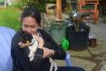 person holding a small white, black and orange dog