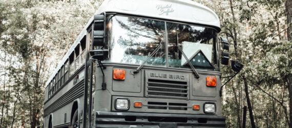 A large old school bus in the forest
