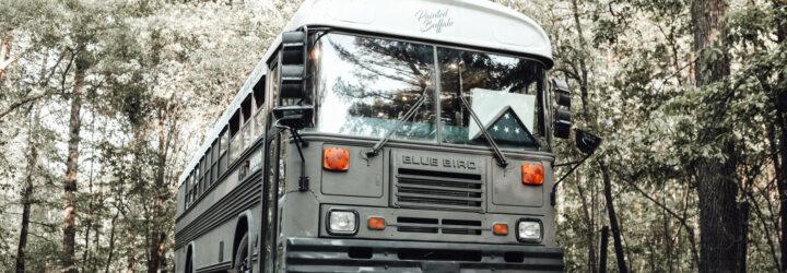 A large old school bus in the forest