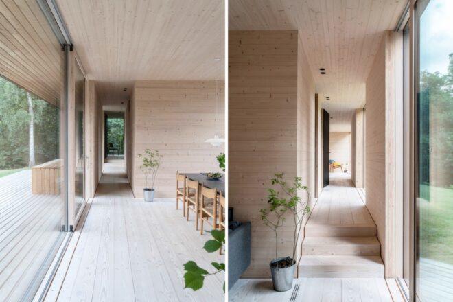 light wood-lined home with few wood furnishings and plants
