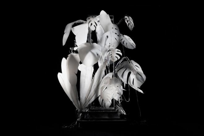a lit-up white art piece in the shape of a leafy plant against a black background