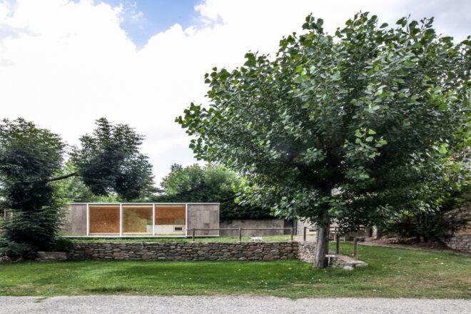 tiny cabin set behind large tree