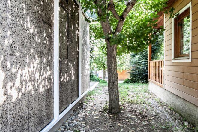 tree next to cork-clad cabin