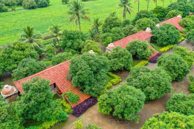 several cottages with terracotta roofs covered in plants