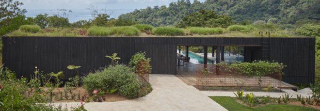 charred timber building with green roof