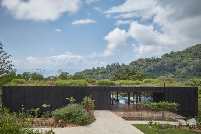 charred timber building with green roof