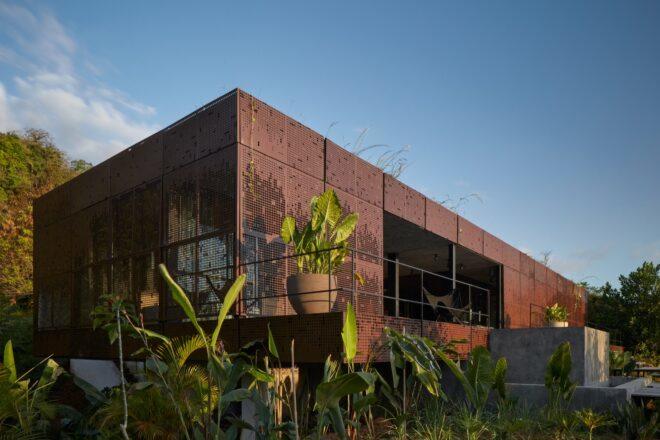 plants beside a weathered steel building