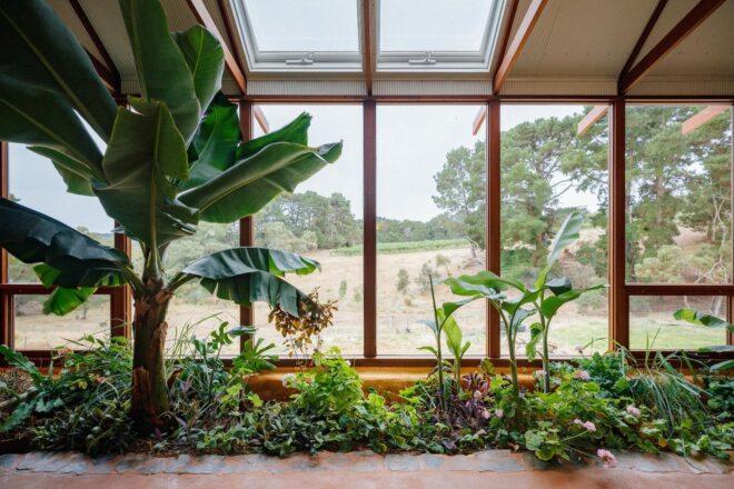 greenhouse filled with plants