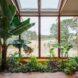 greenhouse filled with plants