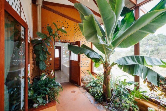 outdoor patio with palm tree