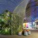 plants growing inside a clear pavilion