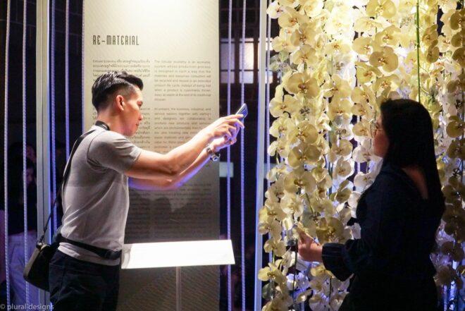 person taking photos of strings of white flowers