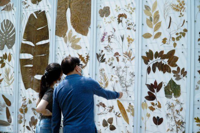 people looking at leaf print wall art