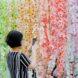person taking photo of strings of colorful flowers