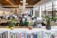 in the foreground, a white bookshelf with potted plants on top of it. in the background, people at desks with computers working