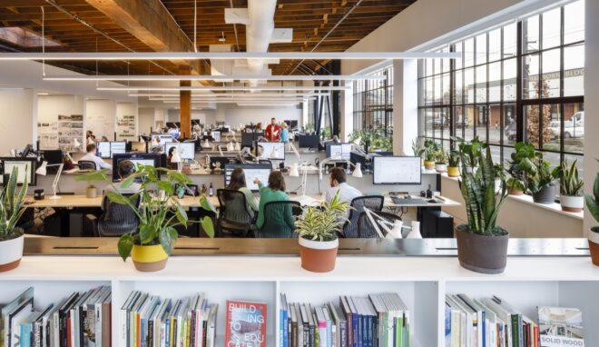 in the foreground, a white bookshelf with potted plants on top of it. in the background, people at desks with computers working