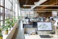 to the left, windows with potted plants on window sills. to the right, work desks with computers