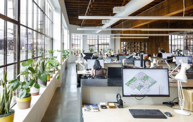 to the left, windows with potted plants on window sills. to the right, work desks with computers