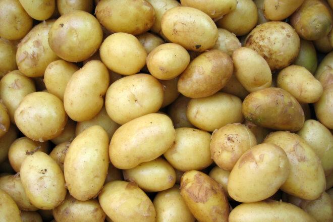pile of golden potatoes