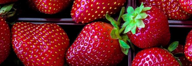 small bins of strawberries