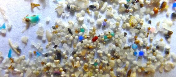 closeup of microplastic beads on a white background