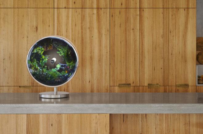 round indoor garden against wood wall