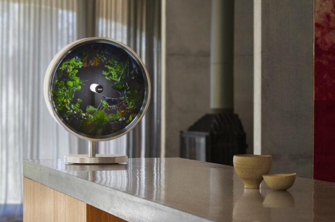 round indoor garden system on a gray counter