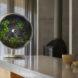 round indoor garden system on a gray counter