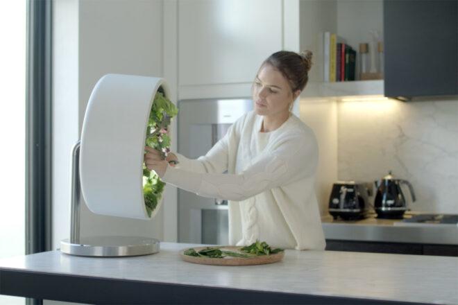 person picking fresh greens from a round indoor garden