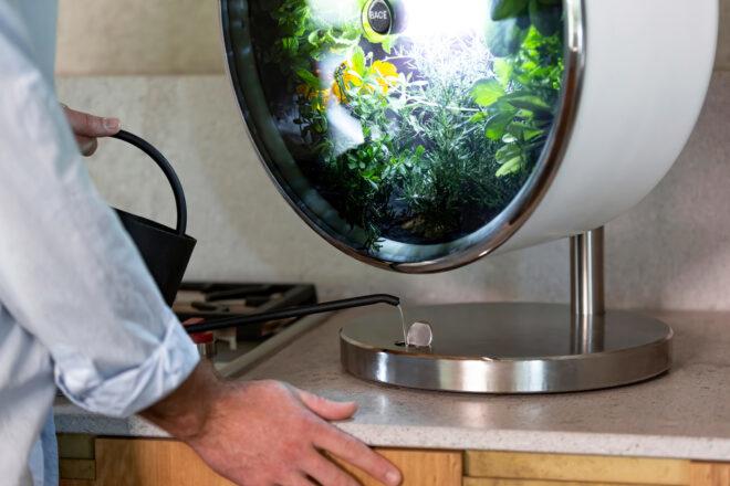 person using watering can to add water to base of a round indoor garden