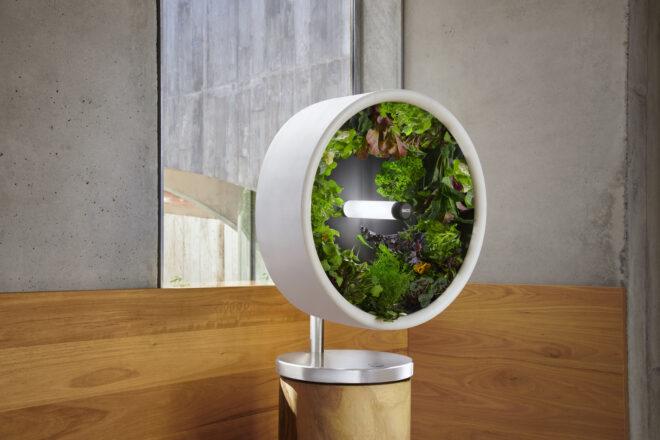 round indoor garden on a wood pedestal