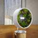 round indoor garden on a wood pedestal