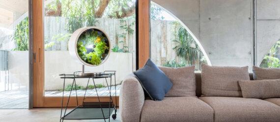 round indoor garden on an end table beside a gray sofa