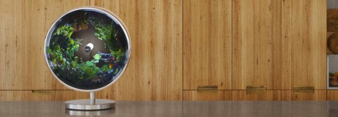 round indoor garden against wood wall
