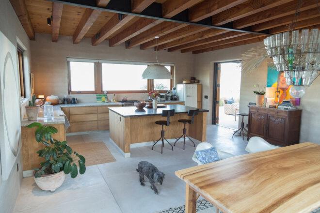 a kitchen area with wood accents, plants and art decorating the room. a small grey dog walks toward the dining table.