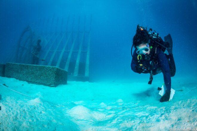 person diving in the ocean near an underwater greenhouse