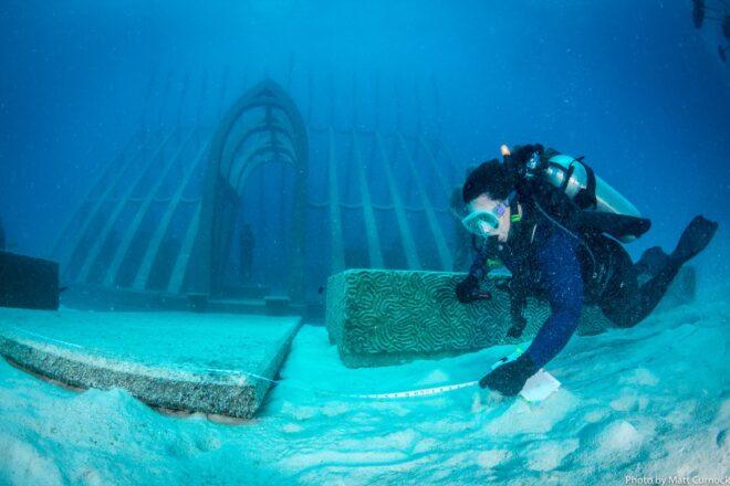 diver swimming past underwater greenhouse