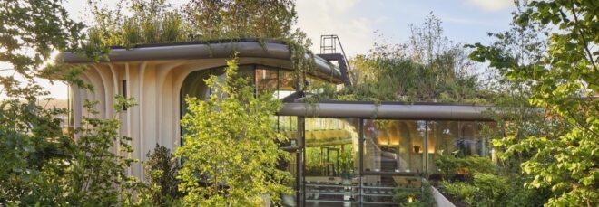 wood-framed building with glass walls and lush green roofs