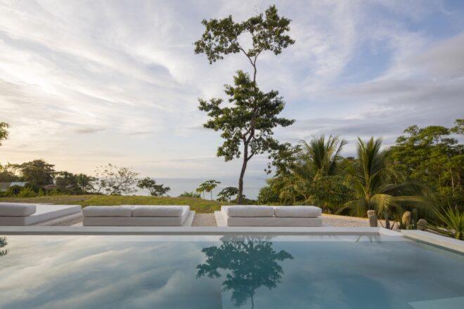 a pool with a shoreline surrounded by greenery in the background