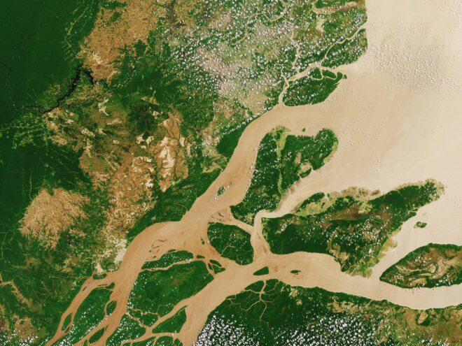 satellite image of Amazon River and rainforest