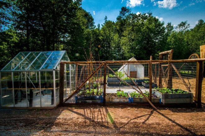 enclosed garden near a greenhouse
