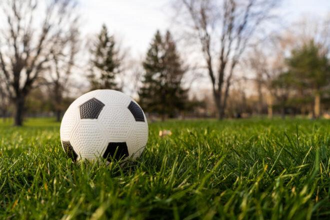 rubber ball in grass