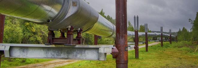 pipeline running through a forest